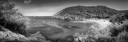 Baai met strand op het eiland Ibiza in zwart en wit .