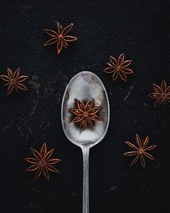 Sternekoch