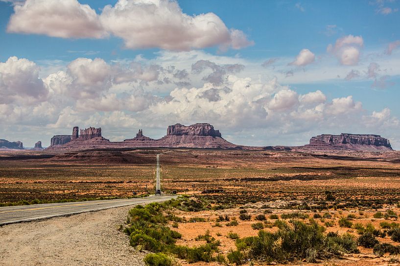 Monument Valley von Eric van Nieuwland