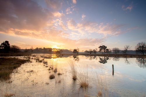 Zonsopkomst bij Gelderse vennen