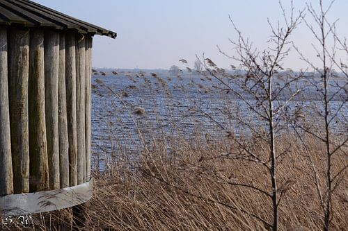 Vogelkijkhut de Leijen