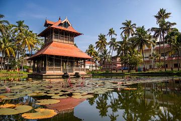 Orientalischer Tempel in einem See. von Floyd Angenent