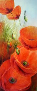 rode papaver van Annette Schmucker