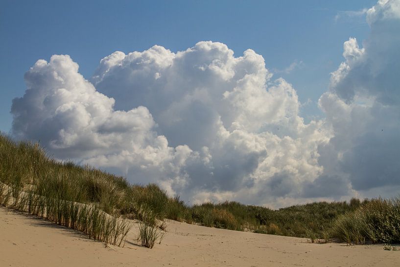 In de duinen van Irene Lommers