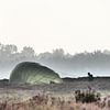 Een parachute uit de mist van Veluws