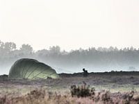 Een parachute uit de mist