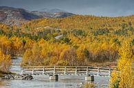Herfst in Noorwegen van Menno Schaefer thumbnail