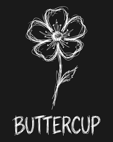 minimalistische poster met een lijntekening van een boterbloem – zwarte editie