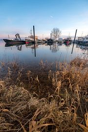 Boten van Moetwil en van Dijk - Fotografie