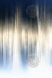 Wintermond von Christine Nöhmeier