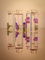Blumen
