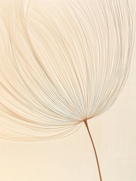 Dandelion fluff by Bert Nijholt