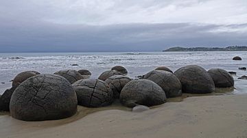 Moeraki Boulders am strand in Neuseeland