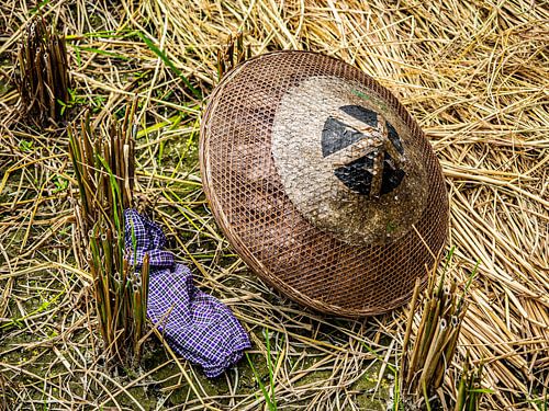 Bescherming tegen de zon op het veld