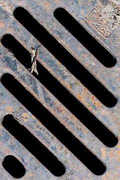 Manhole cover by Anita Visschers