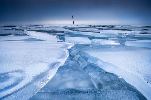 A frozen IJsselmeer