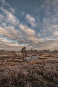 Mooie wolkenlucht boven de Hatertse Vennen van Moetwil en van Dijk - Fotografie