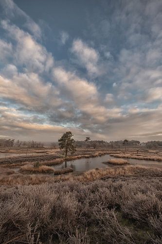 Mooie wolkenlucht boven de Hatertse Vennen