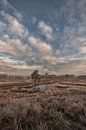 Beautiful clouds above the Hatertse Vennen by Moetwil en van Dijk - Fotografie thumbnail