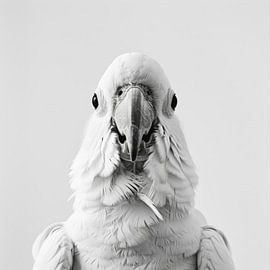 Kakadu von Poster Art Shop