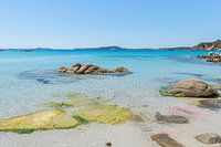 Mediterranean Sea