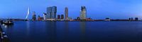 Rotterdamse skyline op het blauwe uur van Frank Herrmann thumbnail