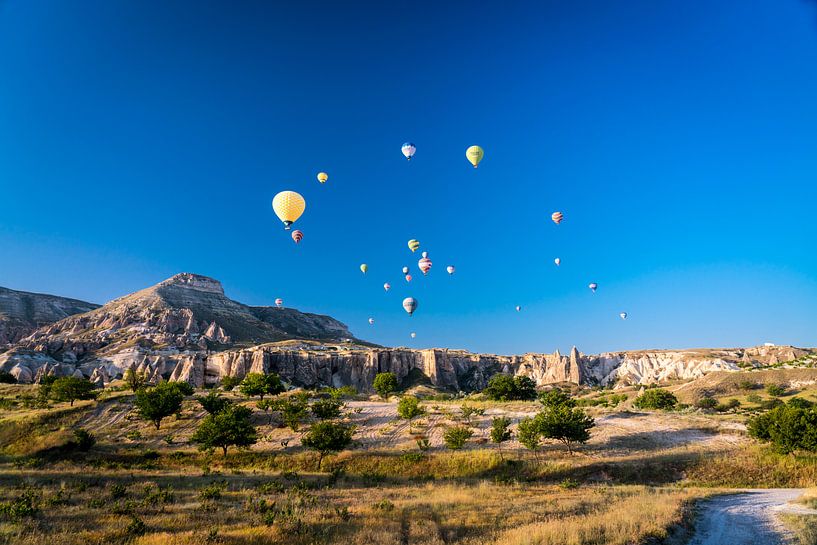 Panorama van luchtballonnen in Cappadocia, Turkije van John Ozguc