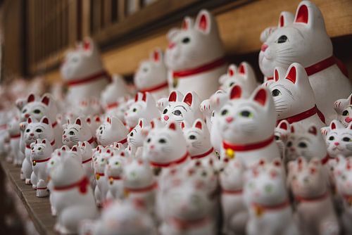 Gelukskatjes van Tokyo: Een Symbool van Voorspoed en Geluk
