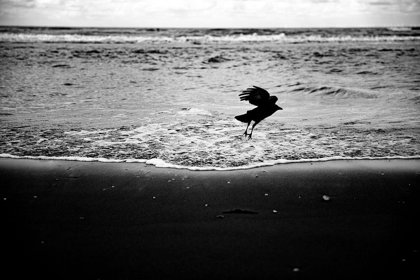 Shadow, black and white by Yanuschka | Fotografie Noordwijk