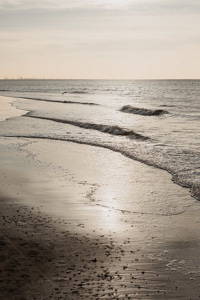 Beach by Amber den Oudsten
