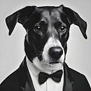 Groom Dog by FoXo Art thumbnail