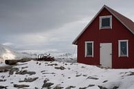 Wooden shack on a fjord at Sommeroya and Hillesoya in Northern Norway van Dennis Wierenga thumbnail