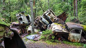 Autowrakken in het bos als dominostenen gevallen