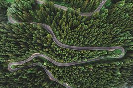 Spaghetti by Erik de Klerck