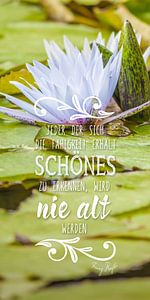 Worte der Weisheit: Jeder, der sich ... Franz Kafka