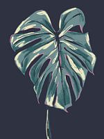 Monstera Deliciosa Foncé