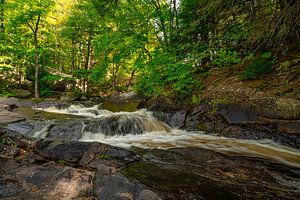 Chute d'eau au Canada