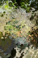 Botanische schittering. Abstract landschap. Zon door de bladeren