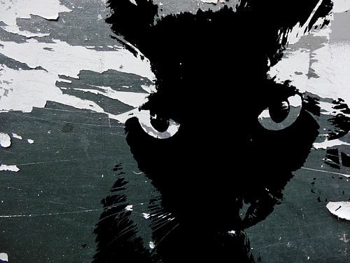 Kattenkunst - Storm 2