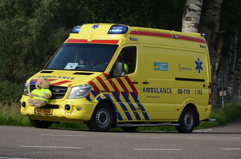 Ambulance Gelderland South (08 - 119) by de Wolf - Fotografie
