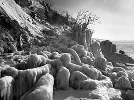 Frozen Beach van Jörg Hausmann