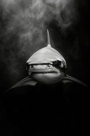 Hai von Poster Art Shop