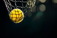 Yellow ball caught in basket net by Poster Art Shop thumbnail