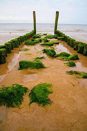 Golfbrekers bij Zoutelande van Roland de Zeeuw