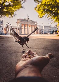 Free Berlin by Robin Berndt