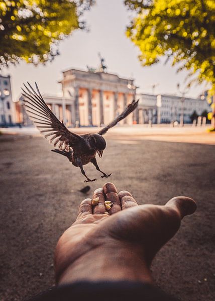 Free Berlin par Robin Berndt