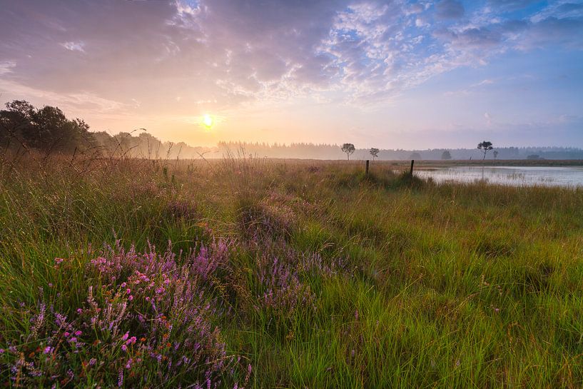 Het Zonlicht In van Joep de Groot