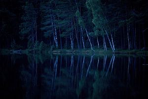 Nächtliche Reflexion