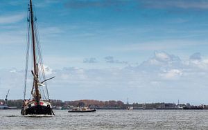 Zeilschip met meeuw