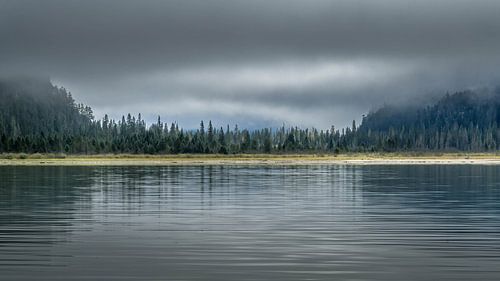 Edge of Silence van Guy Lambrechts